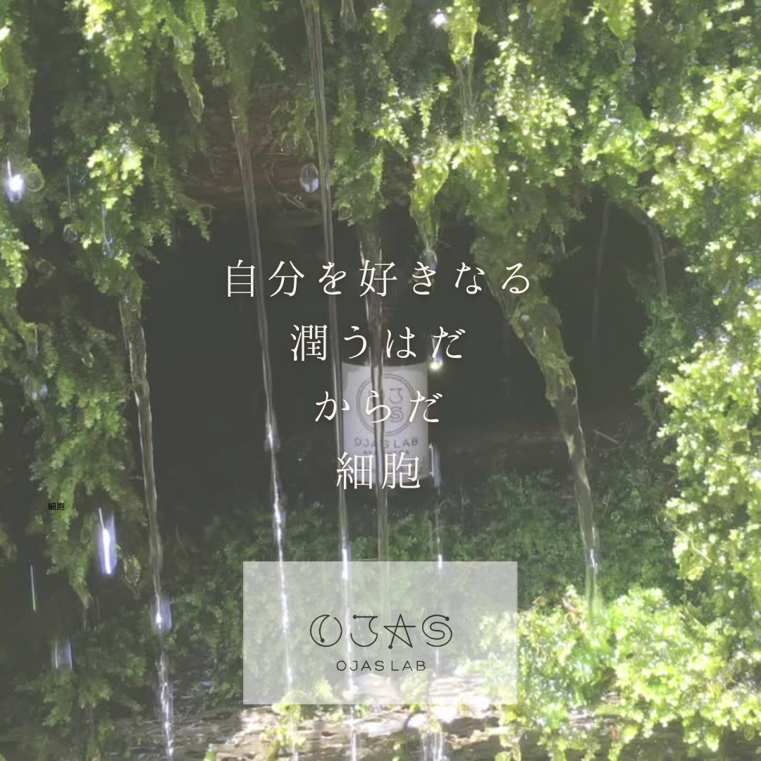 img20260929144228755709.png